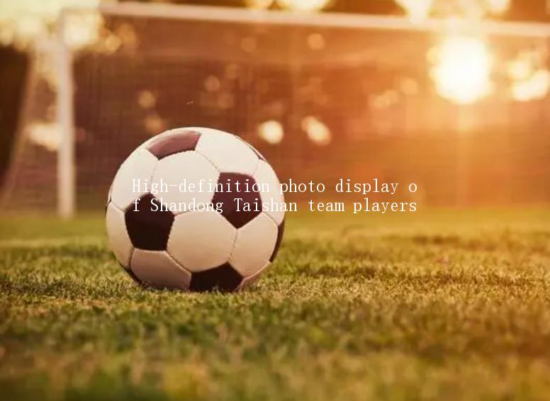 High-definition photo display of Shandong Taishan team players